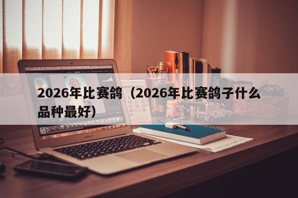 2026年比赛鸽(2026年比赛鸽子什么品种最好)