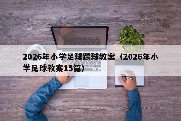 2026年小学足球踢球教案(2026年小学足球教案15篇)